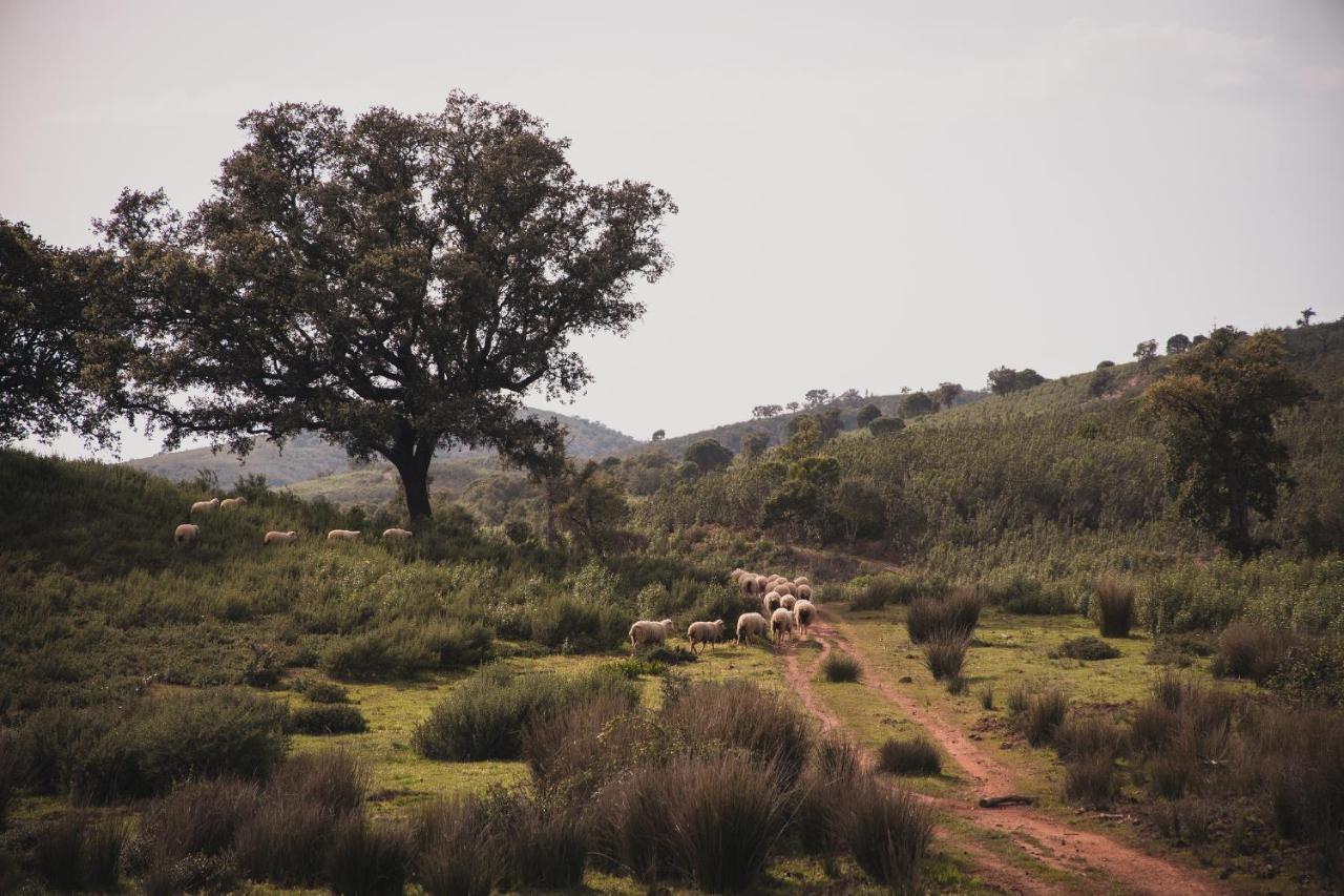 Quinta Do Freixo Villa Benafim Dış mekan fotoğraf