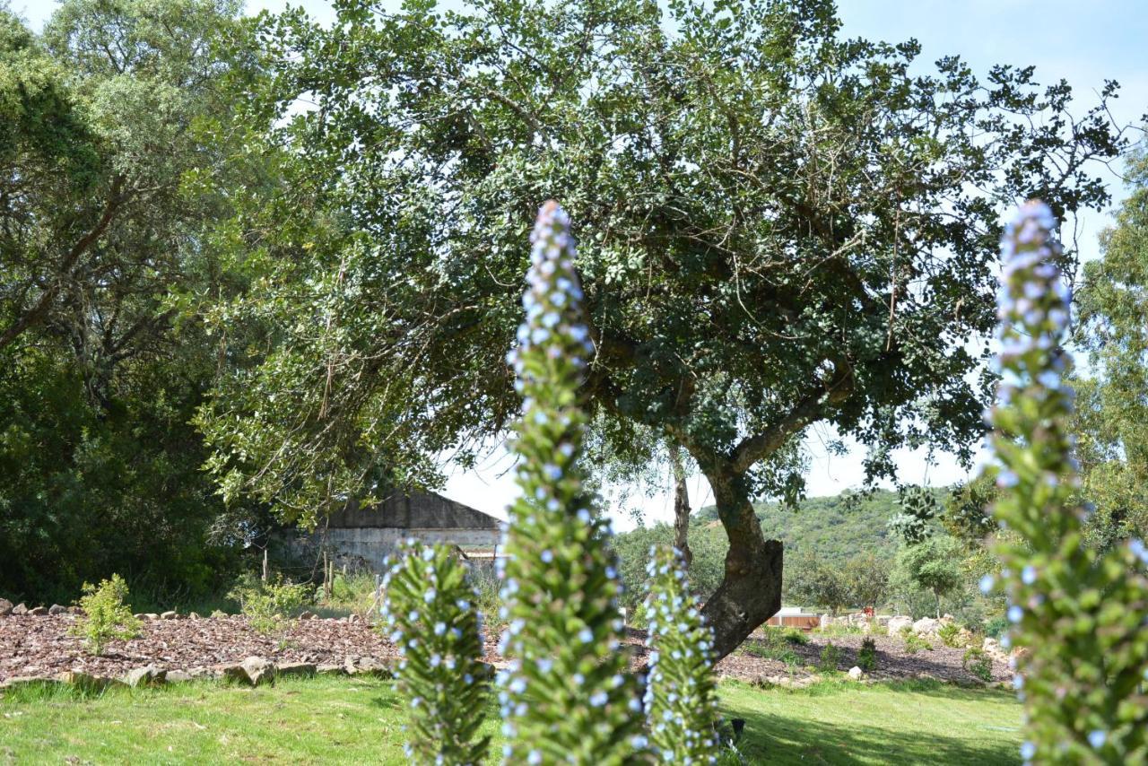 Quinta Do Freixo Villa Benafim Dış mekan fotoğraf