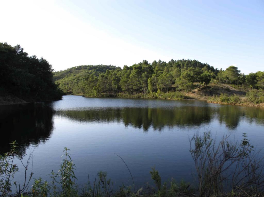 Quinta Do Freixo Villa Benafim Dış mekan fotoğraf